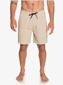 Quiksilver Union Elastic 18 Amphibian In Plage (Ckk0) Shorts